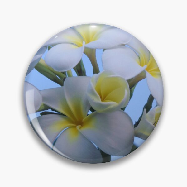 Item preview, Frangipanis designed and sold by Kymbo.
