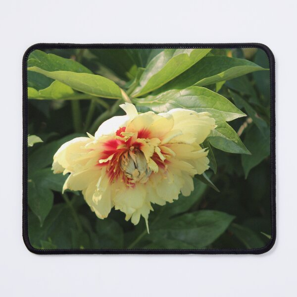Item preview, Floral Fantasies designed and sold by HopeAlways888.