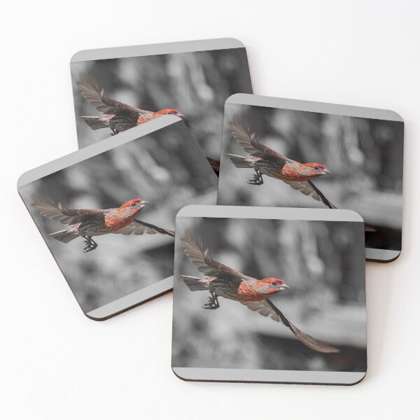 Item preview, Flying Male House Finch designed and sold by CarolM.