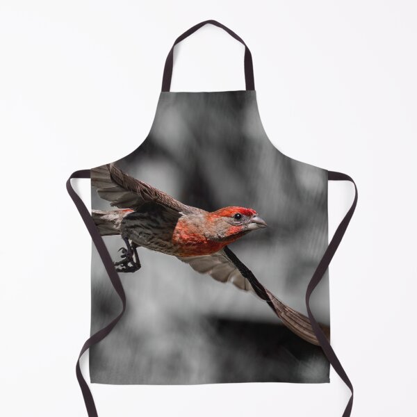 Item preview, Flying Male House Finch designed and sold by CarolM.