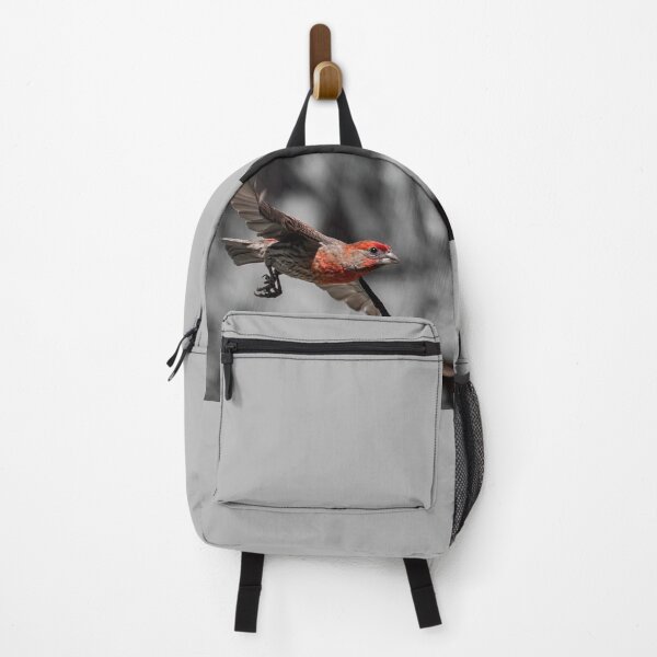Item preview, Flying Male House Finch designed and sold by CarolM.