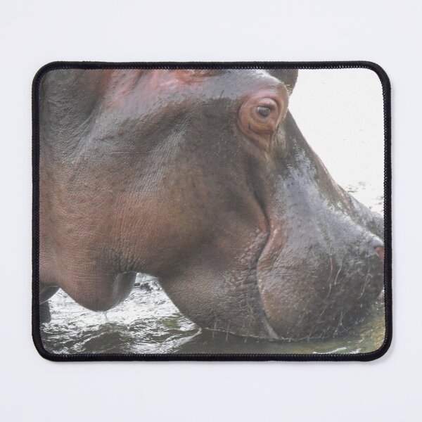 Item preview, Hungry Hippo designed and sold by Kymbo.