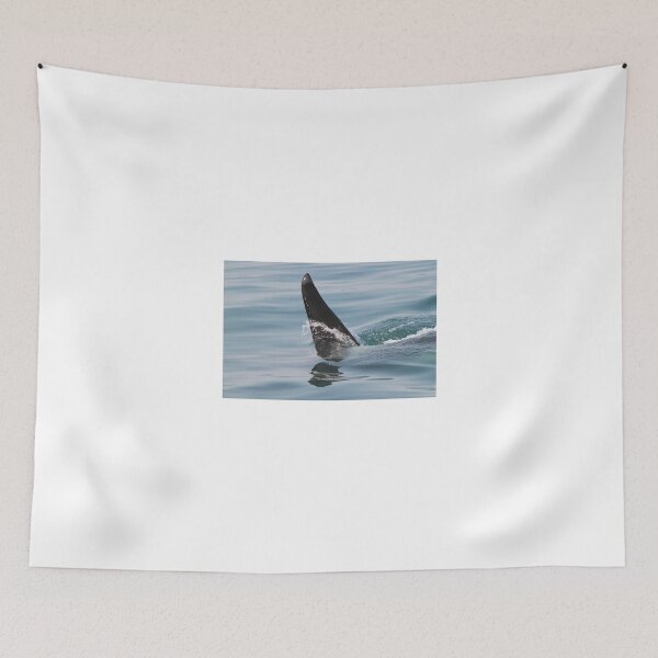 Item preview, Killer whale dorsal fin up close! designed and sold by Anthony Goldman.