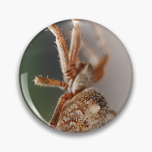 Item preview, Orb Weavers ( 1 ) designed and sold by Larry Davis.