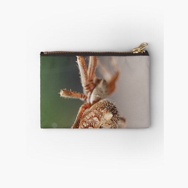 Item preview, Orb Weavers ( 1 ) designed and sold by Larry Davis.