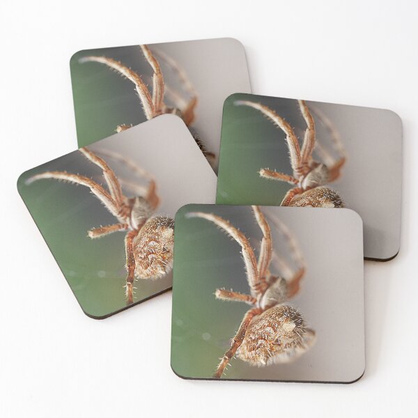 Item preview, Orb Weavers ( 1 ) designed and sold by Larry Davis.