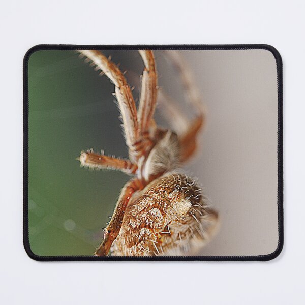 Item preview, Orb Weavers ( 1 ) designed and sold by Larry Davis.