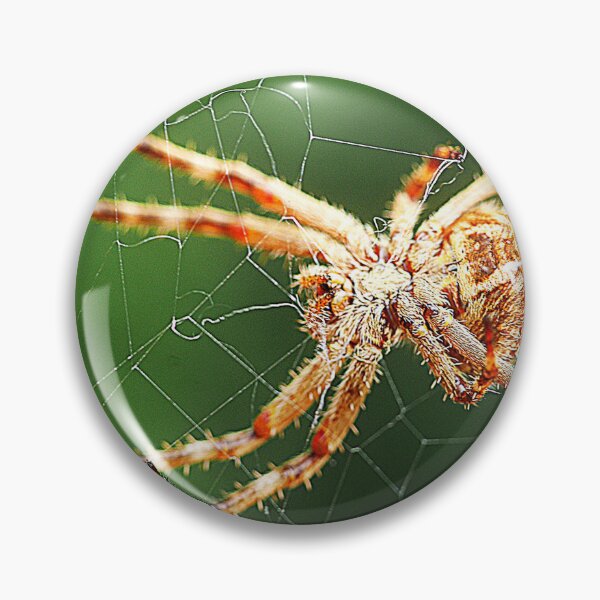 Item preview, Orb Weavers ( 2 ) designed and sold by Larry Davis.