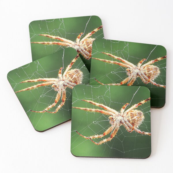 Item preview, Orb Weavers ( 2 ) designed and sold by Larry Davis.