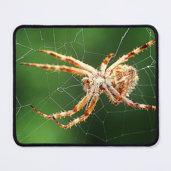 Item preview, Orb Weavers ( 2 ) designed and sold by Larry Davis.