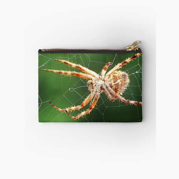 Item preview, Orb Weavers ( 2 ) designed and sold by Larry Davis.