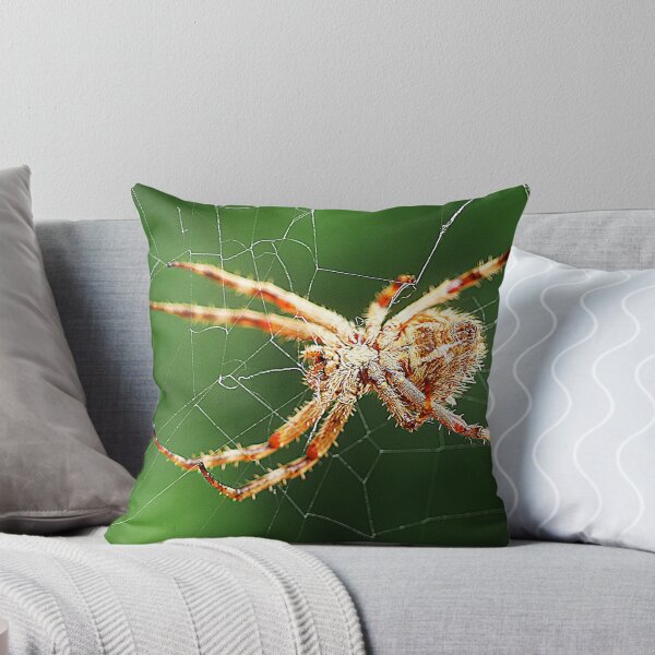 Item preview, Orb Weavers ( 2 ) designed and sold by Larry Davis.