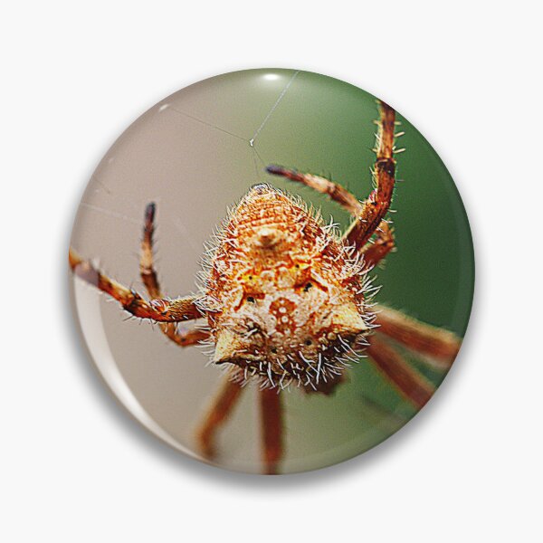 Item preview, Orb Weavers ( 3 ) designed and sold by Larry Davis.