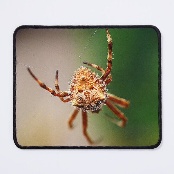 Item preview, Orb Weavers ( 3 ) designed and sold by Larry Davis.