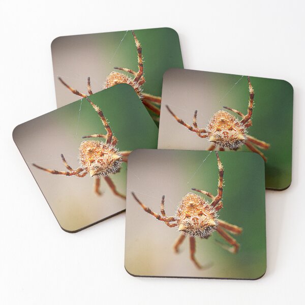 Item preview, Orb Weavers ( 3 ) designed and sold by Larry Davis.