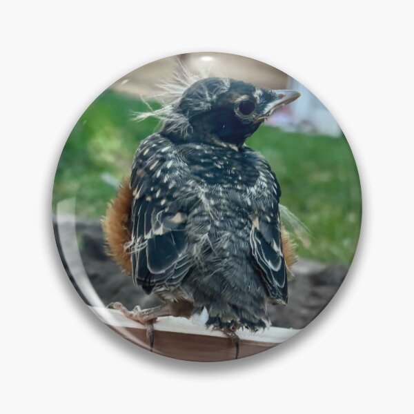 Item preview, Baby Bird Waiting for Mom to Bring Food designed and sold by Moleshavesouls.
