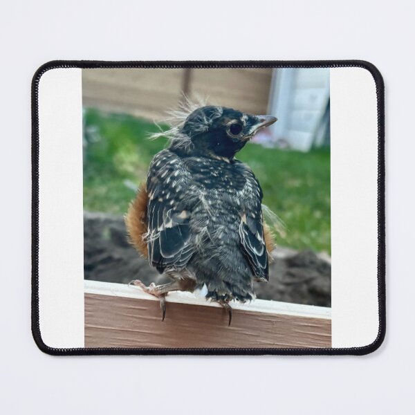 Item preview, Baby Bird Waiting for Mom to Bring Food designed and sold by Moleshavesouls.