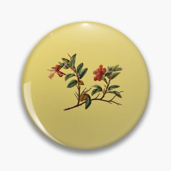 Item preview, Hibiscus kokio Hawaiian Flower Vintage Botanical designed and sold by taiche.