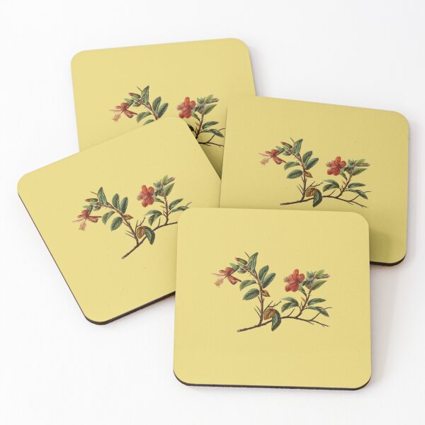 Item preview, Hibiscus kokio Hawaiian Flower Vintage Botanical designed and sold by taiche.