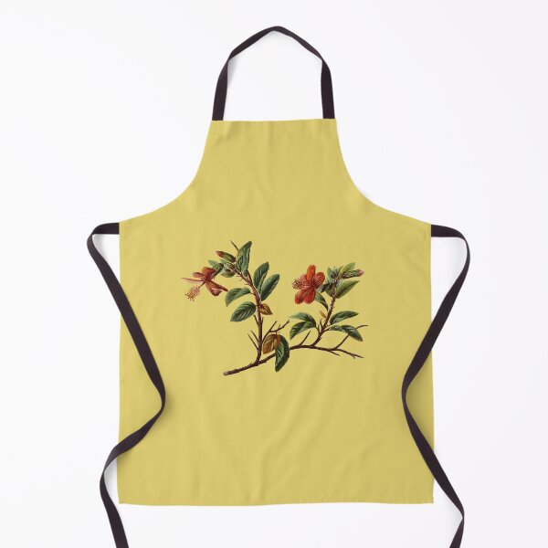 Item preview, Hibiscus kokio Hawaiian Flower Vintage Botanical designed and sold by taiche.