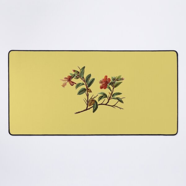 Item preview, Hibiscus kokio Hawaiian Flower Vintage Botanical designed and sold by taiche.