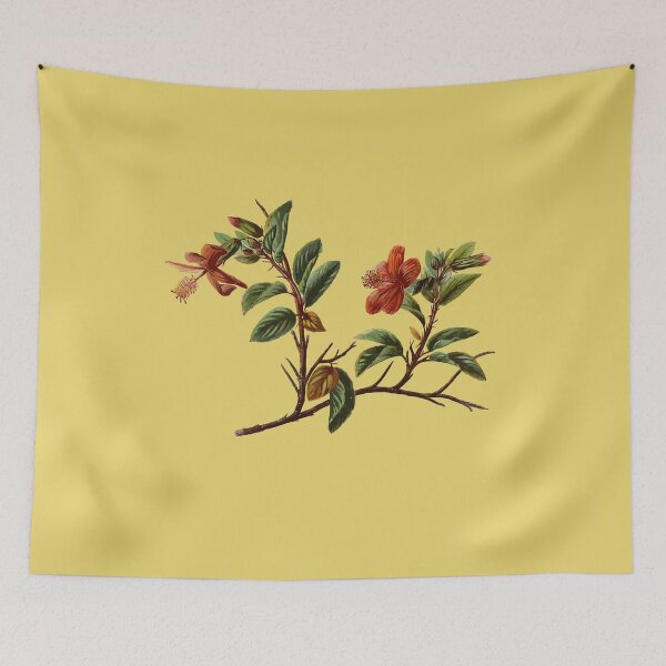 Item preview, Hibiscus kokio Hawaiian Flower Vintage Botanical designed and sold by taiche.