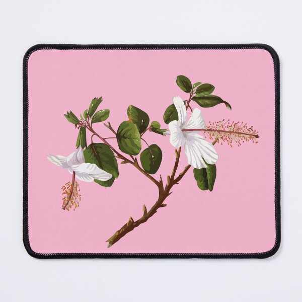 Item preview, Hibiscus arnottianus Hawaiian Flower Vintage Botanical designed and sold by taiche.
