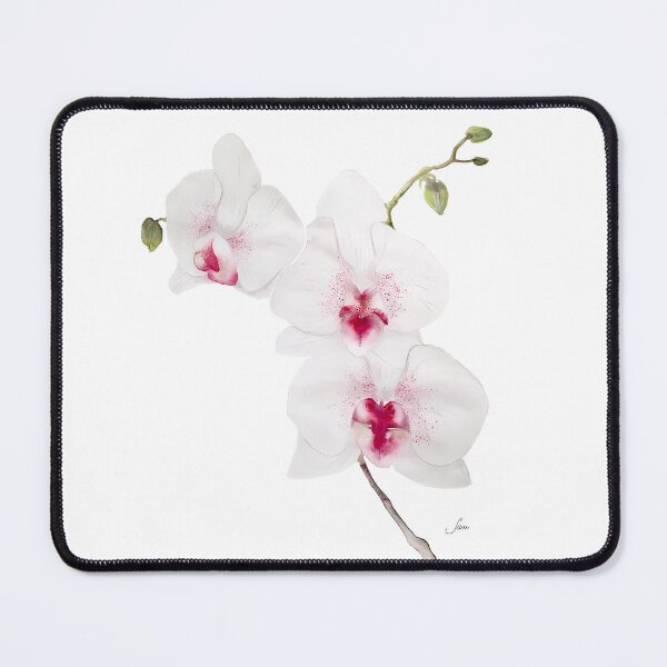 Item preview, Beautiful White and Pink Watercolour Orchid designed and sold by Sam Morton - Heart Art.