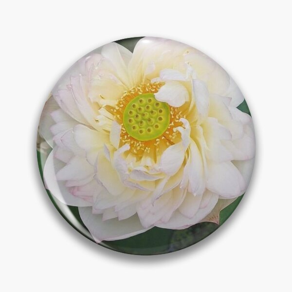 Item preview, Pink and yellow umbrella lotus 1 designed and sold by Billiard6163.