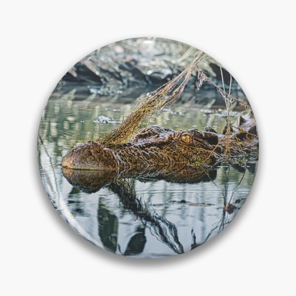 Artikelvorschau, Krokodil im Yellow Water Billabong 2 entworfen und verkauft von Alex Preiss.