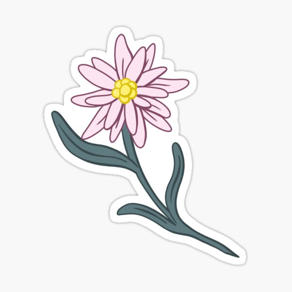 Edelweiss, a colorful mountain flower - Germany Glossy Sticker
