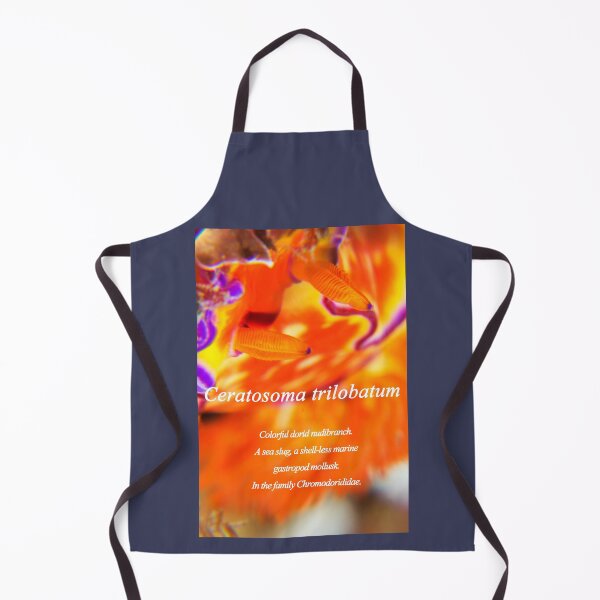 Item preview, Colorful dorid designed and sold by tank200bar.