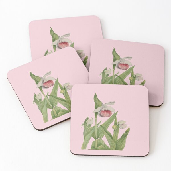 Item preview, Pink and White Lady's Slipper Botanical Vector designed and sold by taiche.