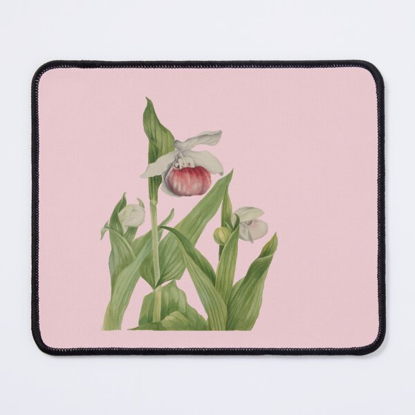 Item preview, Pink and White Lady's Slipper Botanical Vector designed and sold by taiche.