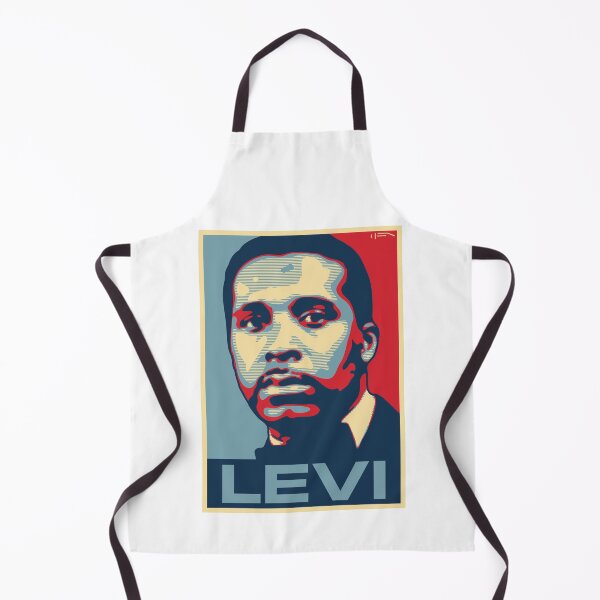 Item preview, Levi designed and sold by DFA.