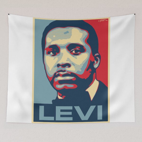 Item preview, Levi designed and sold by DFA.