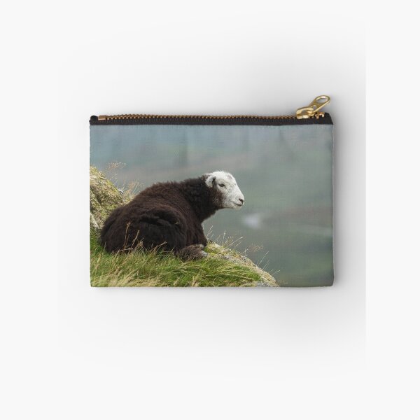 Item preview, Young Herdwick Sheep designed and sold by Jane Stanley Photography.