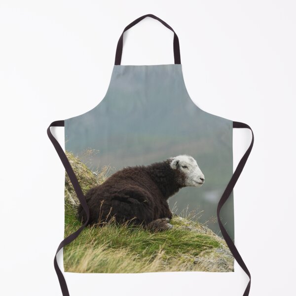 Item preview, Young Herdwick Sheep designed and sold by Jane Stanley Photography.