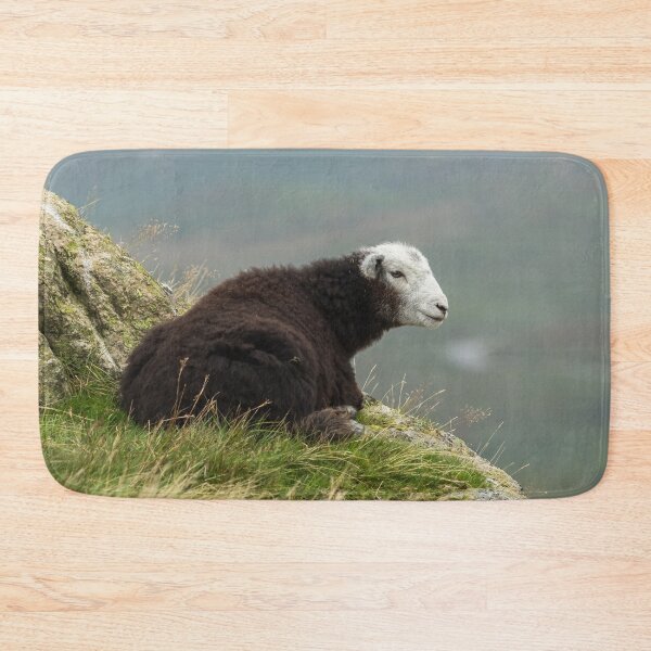 Item preview, Young Herdwick Sheep designed and sold by Jane Stanley Photography.