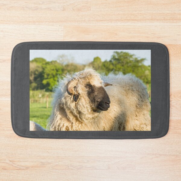 Item preview, Valais Blacknose Sheep designed and sold by Jane Stanley Photography.