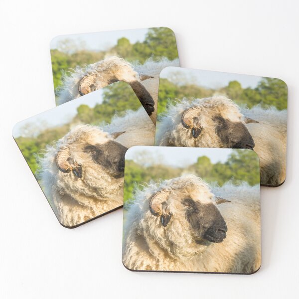Item preview, Valais Blacknose Sheep designed and sold by Jane Stanley Photography.