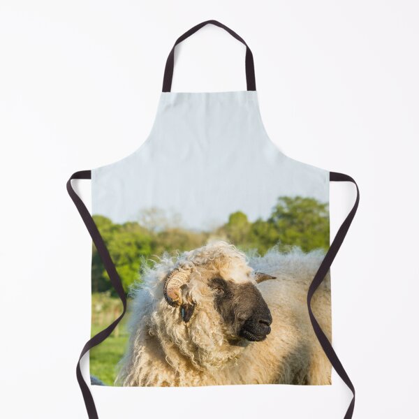 Item preview, Valais Blacknose Sheep designed and sold by Jane Stanley Photography.
