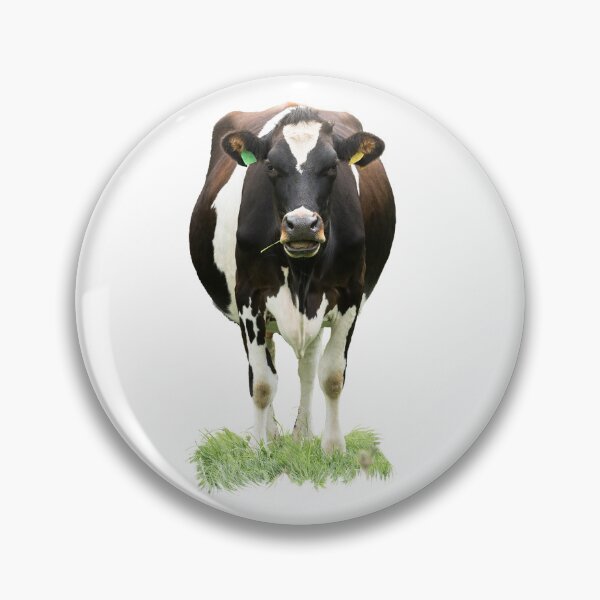 Item preview, Black and White Cow Placement Print designed and sold by Jane Stanley Photography.