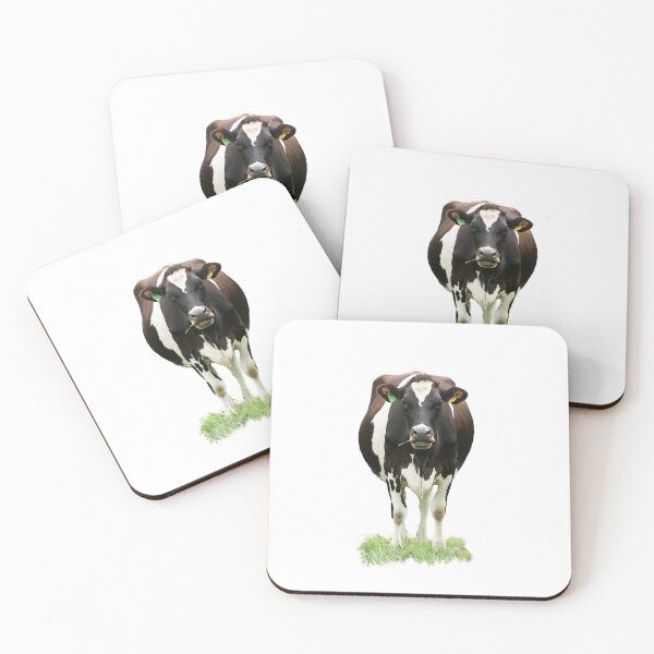 Item preview, Black and White Cow Placement Print designed and sold by Jane Stanley Photography.