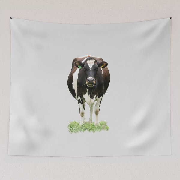 Item preview, Black and White Cow Placement Print designed and sold by Jane Stanley Photography.
