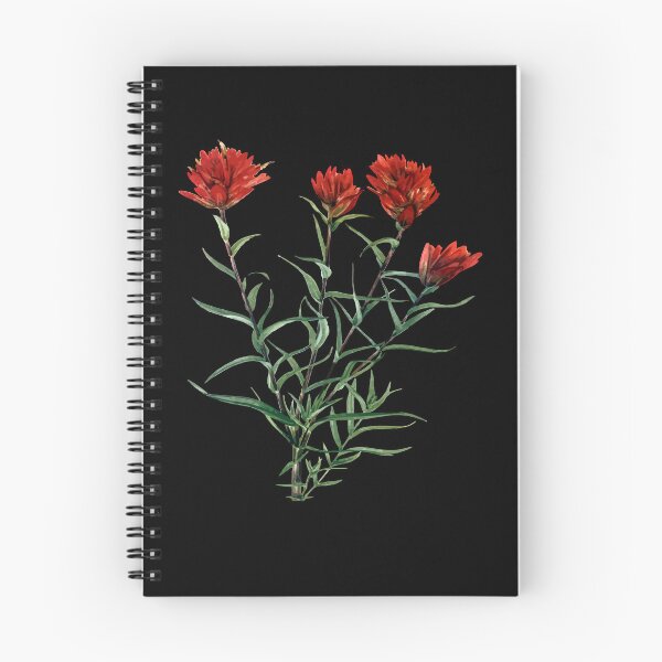 Item preview, Desert Paintbrush Botanical Vector designed and sold by taiche.