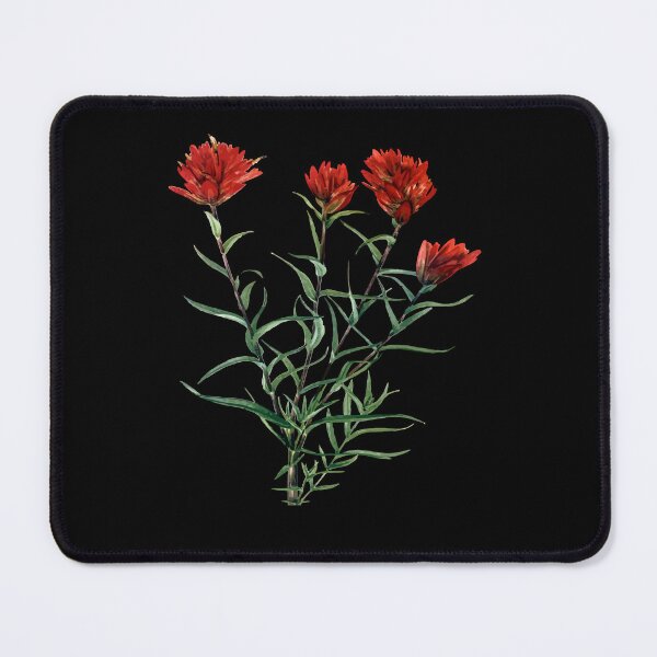 Item preview, Desert Paintbrush Botanical Vector designed and sold by taiche.