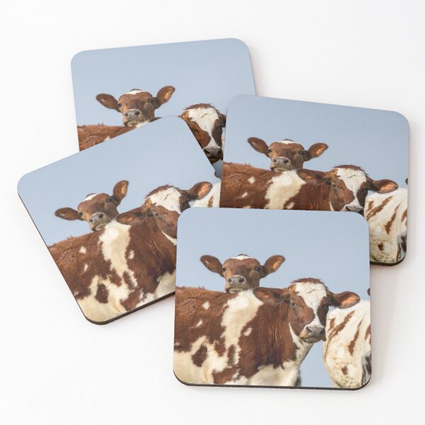 Item preview, Three of a Kind designed and sold by Jane Stanley Photography.