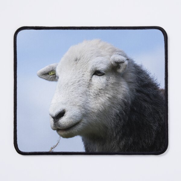 Item preview, Herdwick Sheep Portrait designed and sold by Jane Stanley Photography.