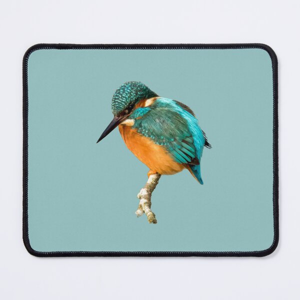 Item preview, Common Kingfisher Placement Print designed and sold by Jane Stanley Photography.
